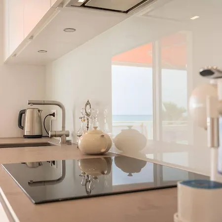 Luxury Flat On The Cote D'azur 公寓 *